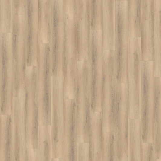Belakos Palazzo 750 dryback
