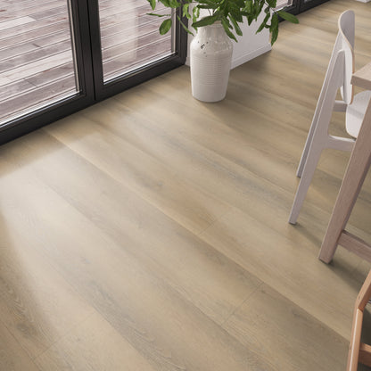 Belakos Palazzo 760 dryback