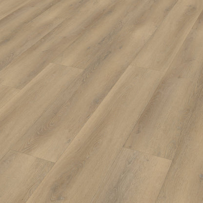 Belakos Palazzo 760 Rigid Click