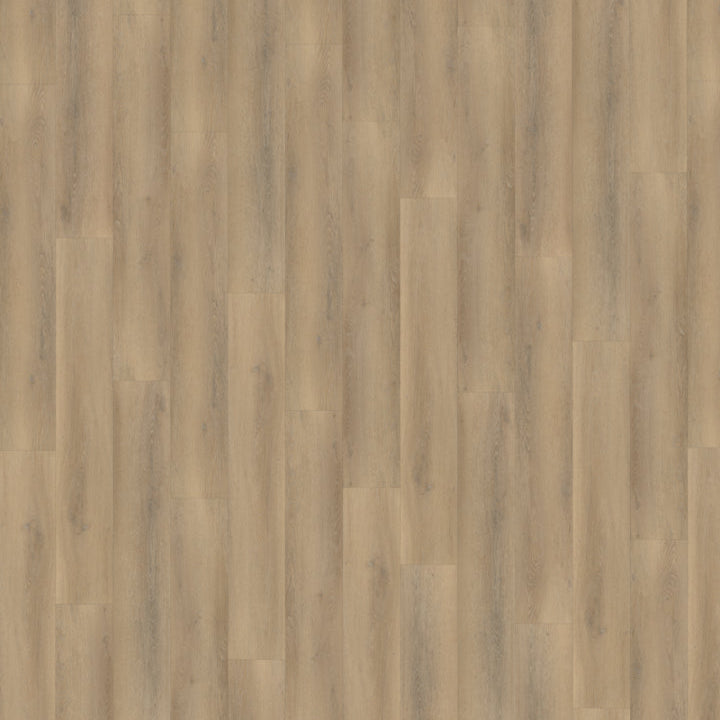 Belakos Palazzo 760 Rigid Click