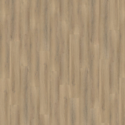 Belakos Palazzo 760 Rigid Click