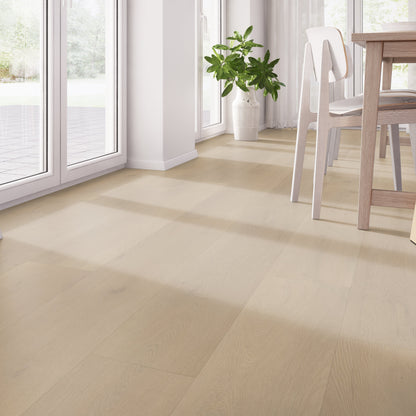 Belakos Palazzo 770 dryback