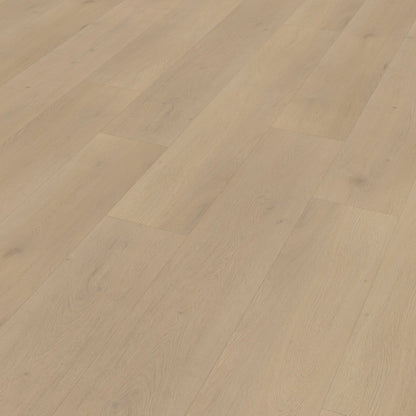 Belakos Palazzo 770 Rigid Click