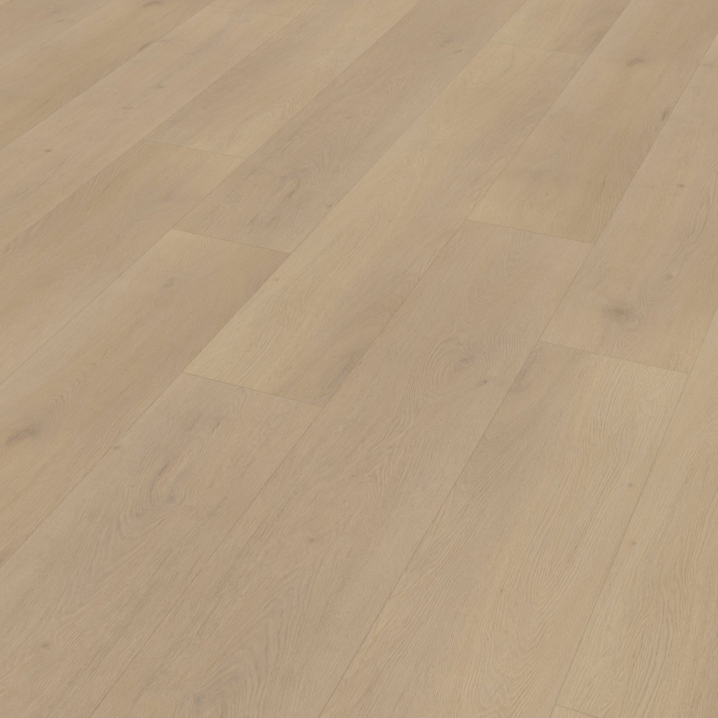 Belakos Palazzo 770 dryback