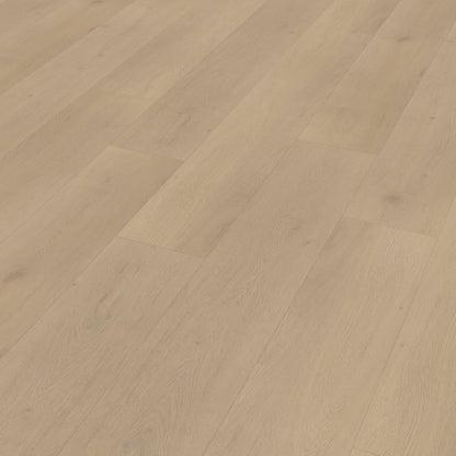 Belakos Palazzo 770 dryback