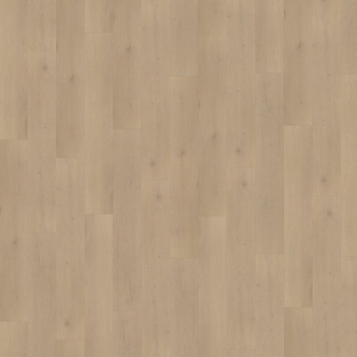 Belakos Palazzo 770 Rigid Click