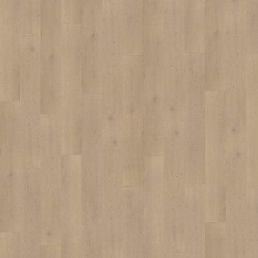 Belakos Palazzo 770 Rigid Click