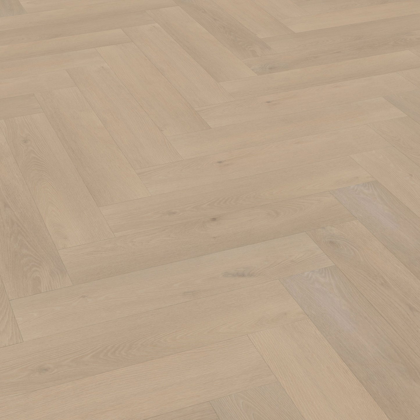 Belakos Palazzo visgraat XL 74 Rigid Click