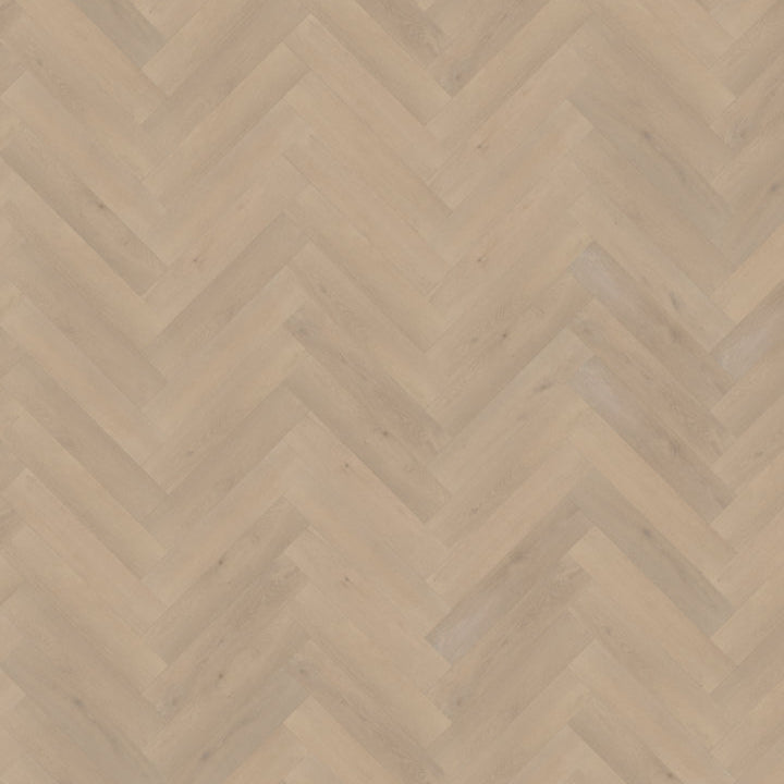 Belakos Palazzo visgraat XL 74 dryback