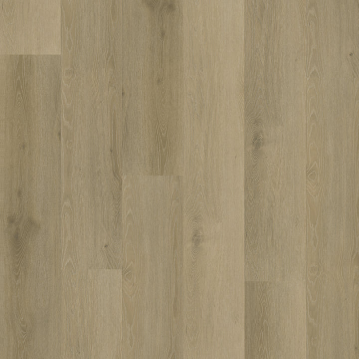 Belakos Rustico 20 dryback