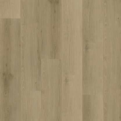 Belakos Rustico 20 dryback