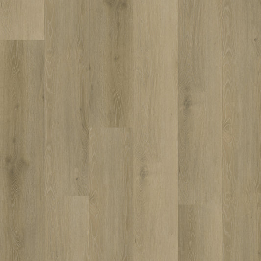 Belakos Rustico 20 dryback