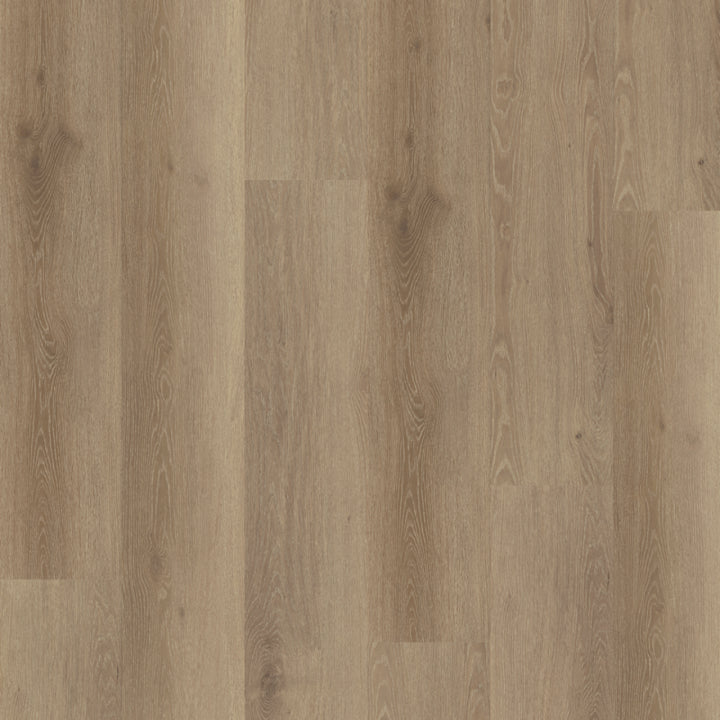 Belakos Rustico 30 dryback