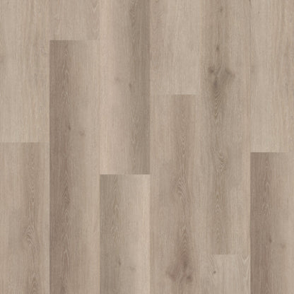 Belakos Rustico 40 dryback