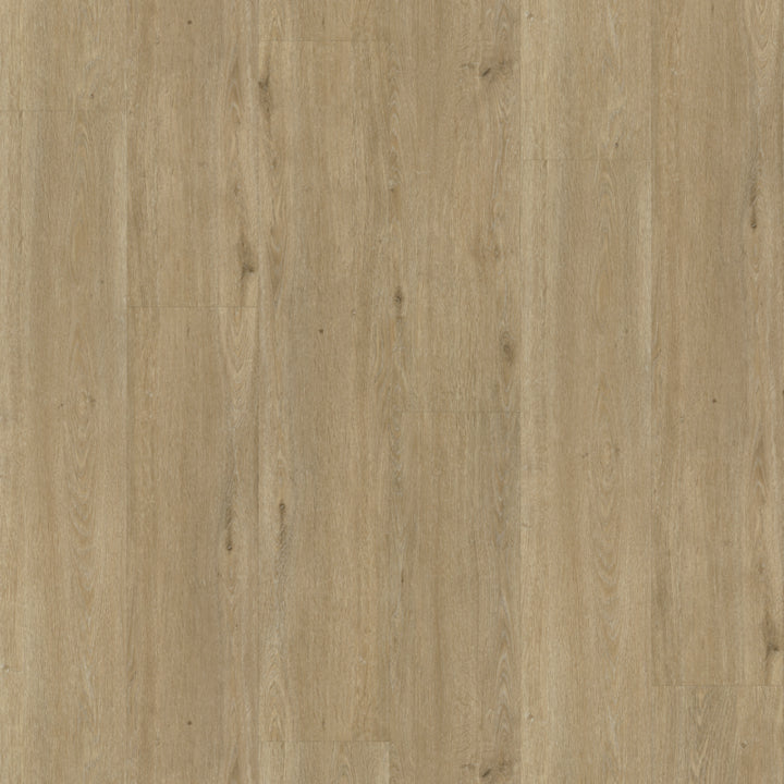 Belakos Rustico 50 dryback