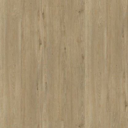 Belakos Rustico 50 dryback
