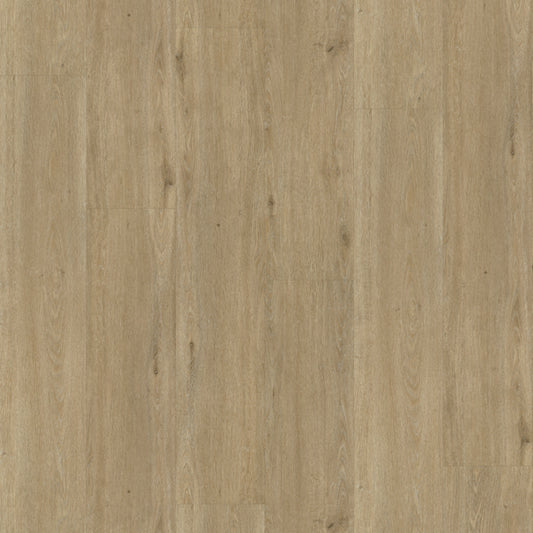 Belakos Rustico 50 dryback