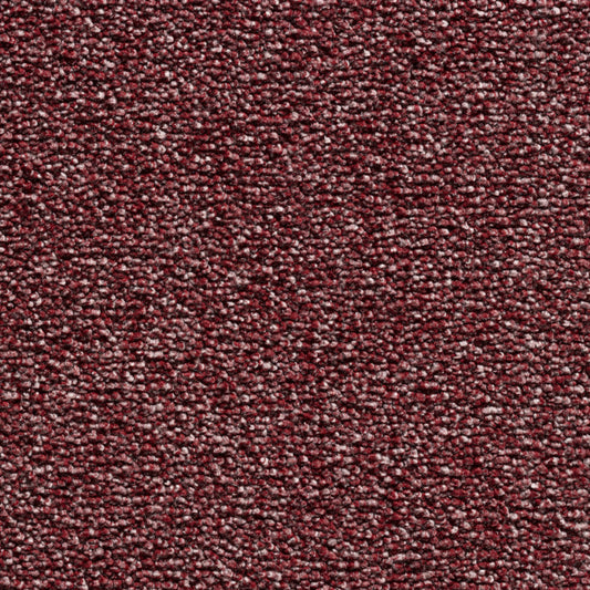 Belakos Glance 25