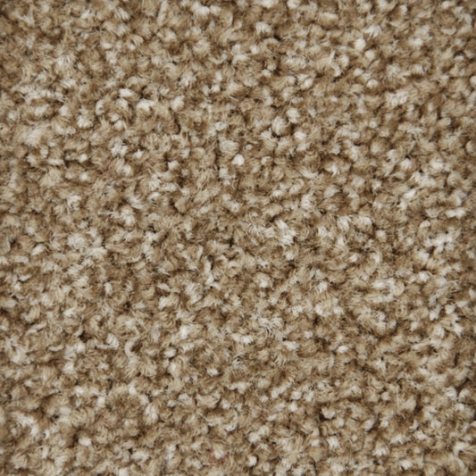 Belakos Princeton 155