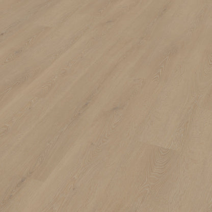 Belakos Cervo 210 dryback