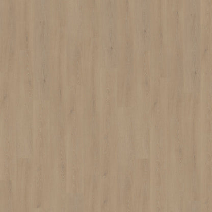 Belakos Cervo 210 | Rigid Click