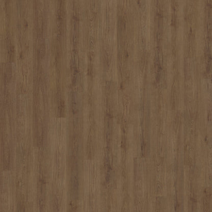 Belakos Monastro 910 dryback
