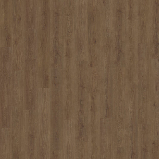 Belakos Monastro 910 dryback
