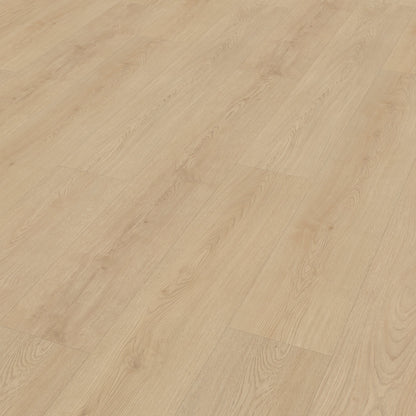 Belakos Monastro 920 dryback