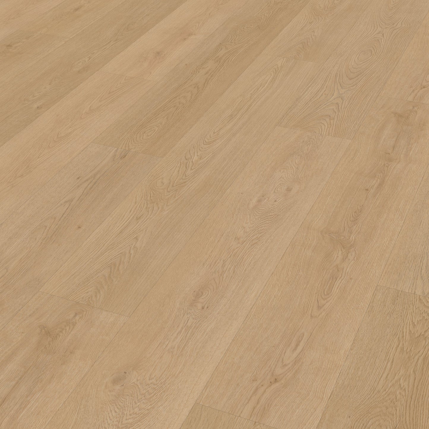 Belakos Monastro 930 dryback