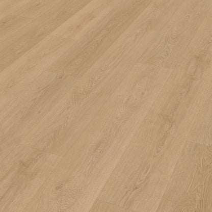 Belakos Monastro 930 dryback