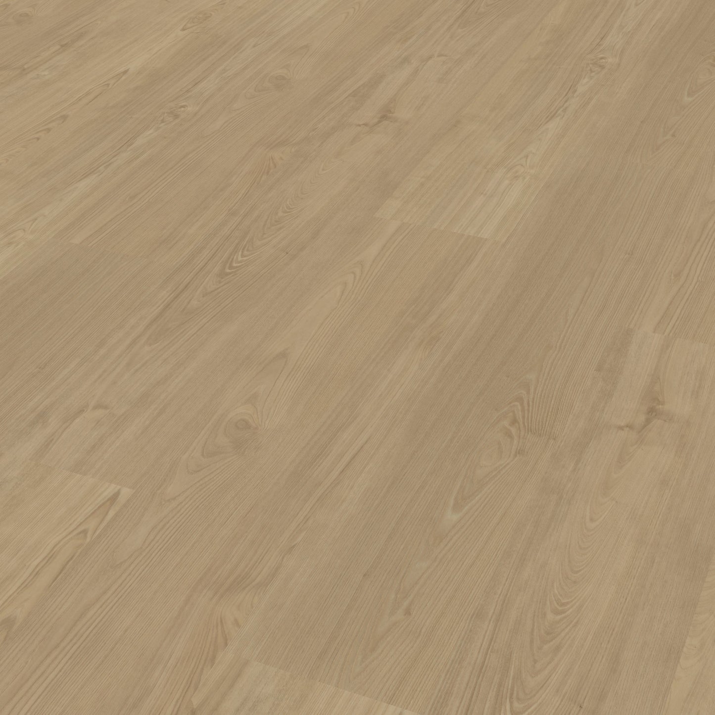 Belakos Portico 540 Rigid Click