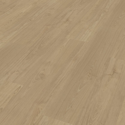 Belakos Portico 540 Rigid Click
