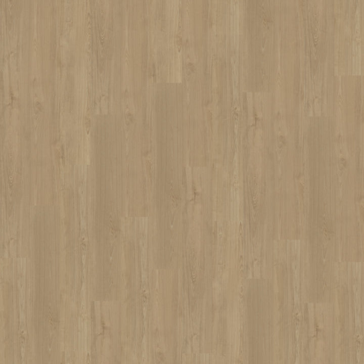 Belakos Portico 540 dryback