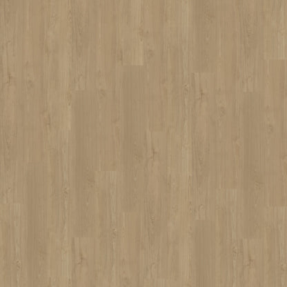 Belakos Portico 540 dryback