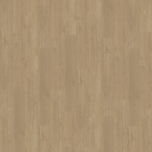 Belakos Portico 540 dryback