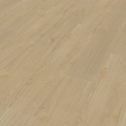 Belakos Portico 550 Rigid Click