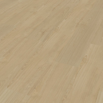 Belakos Portico 550 dryback