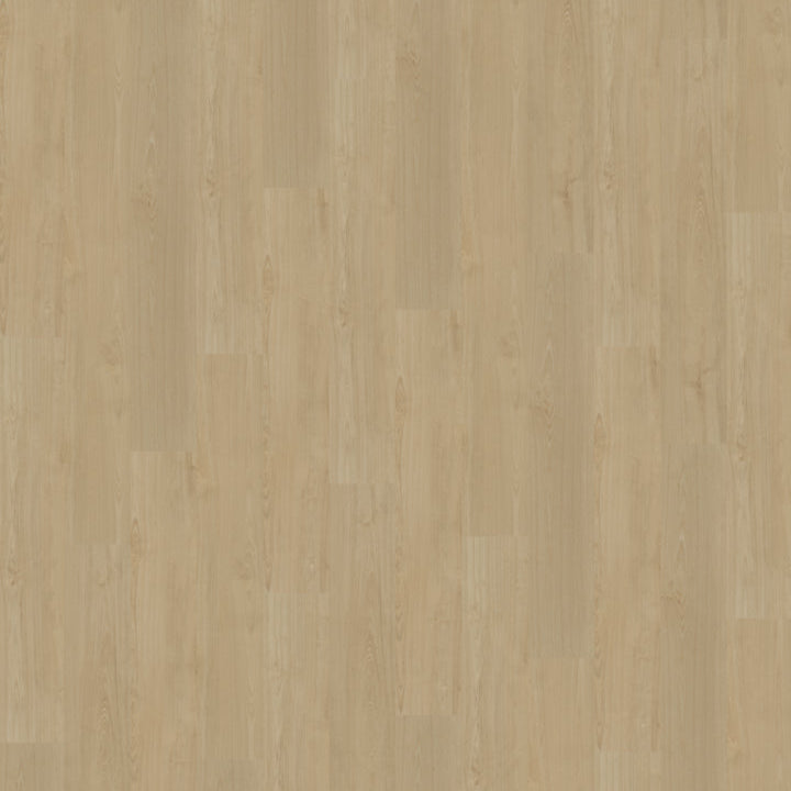 Belakos Portico 550 Rigid Click
