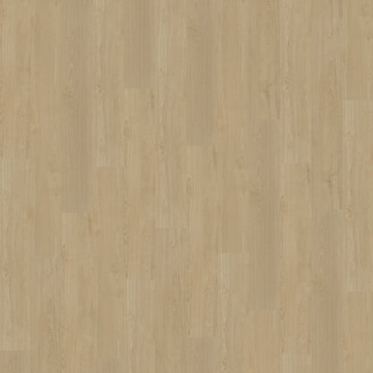 Belakos Portico 550 Rigid Click