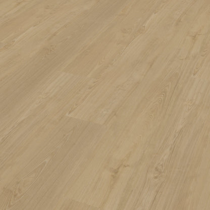 Belakos Portico 560 Rigid Click