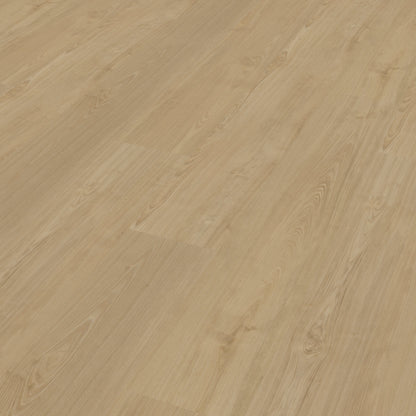 Belakos Portico 560 dryback