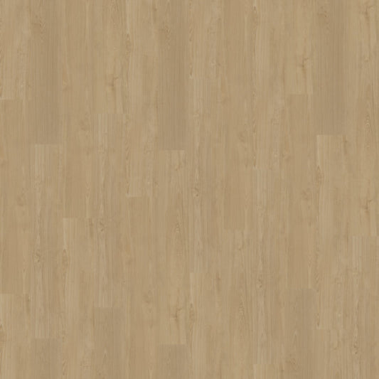 Belakos Portico 560 Rigid Click