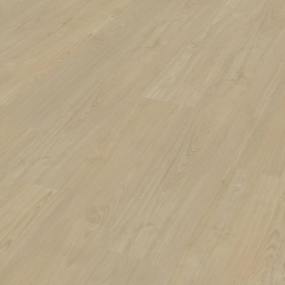 Belakos Portico 570 Rigid Click