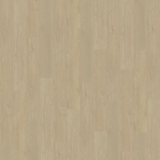 Belakos Portico 570 Rigid Click