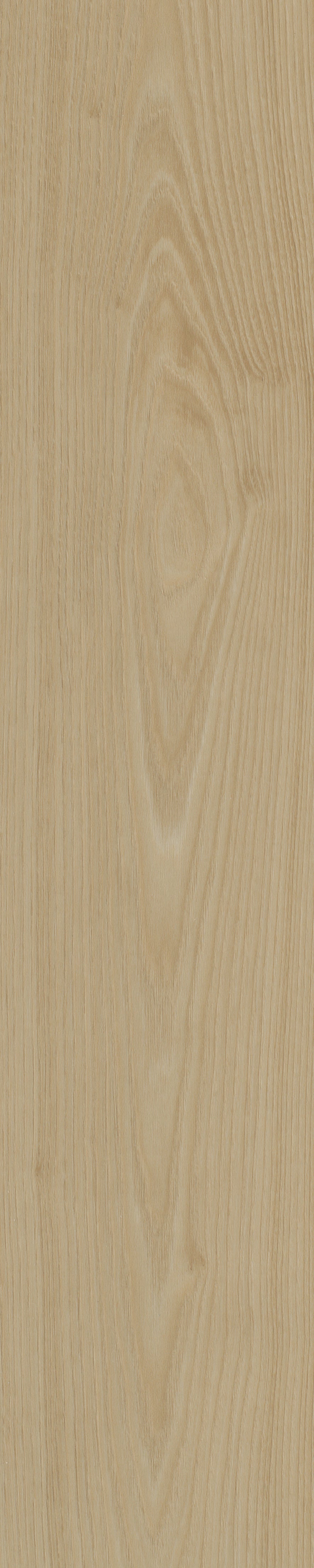 Belakos Portico visgraat XL 55 Rigid Click