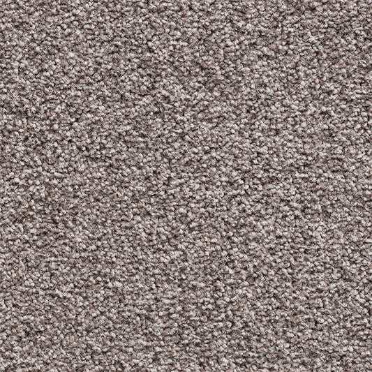 Interfloor Scarlatti Project-SDN 486