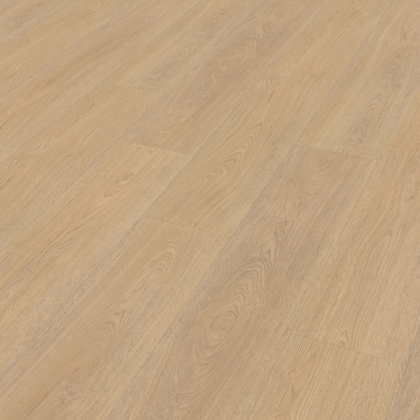 Belakos Terreno 610 Rigid Click