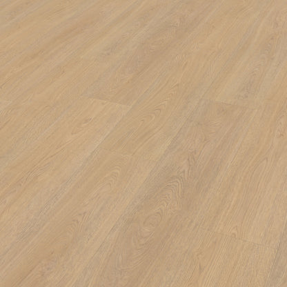 Belakos Terreno 610 Rigid Click