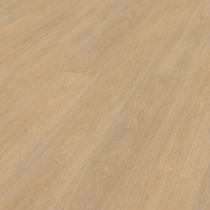 Belakos Terreno 610 dryback