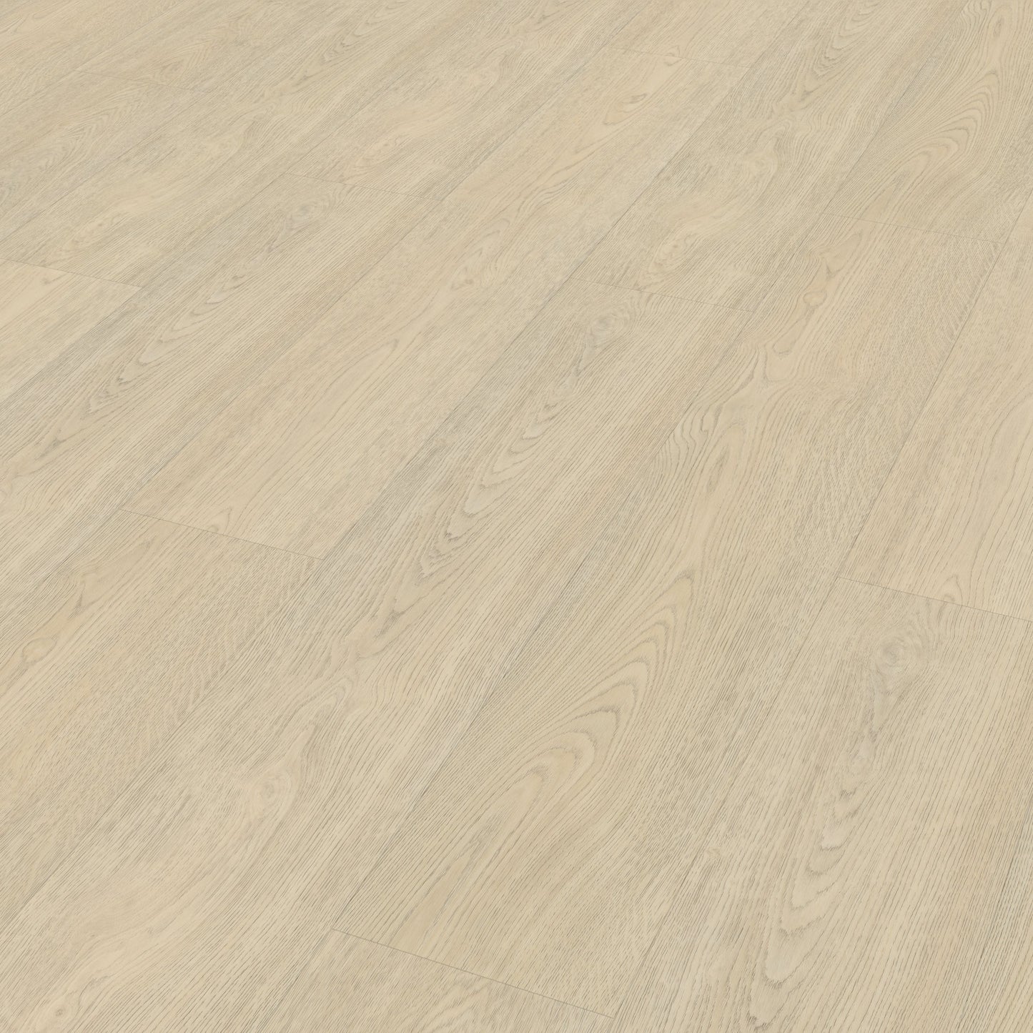 Belakos Terreno 620 dryback